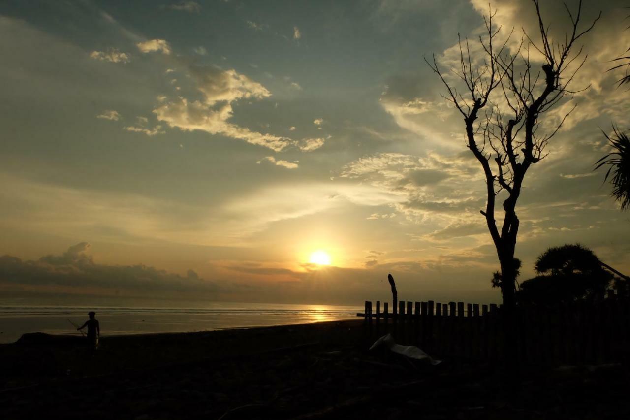 The Nyamo Surf & Stay Pulukan Zewnętrze zdjęcie